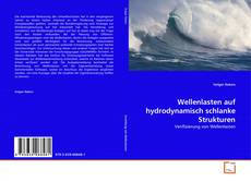 Bookcover of Wellenlasten auf hydrodynamisch schlanke Strukturen
