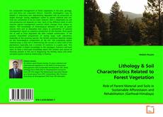 Copertina di Lithology