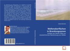 Portada del libro de Wellenoberflächen in Brandungszonen