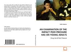 Portada del libro de AN EXAMINATION OF THE IMPACT PEER PRESSURE HAS ON
YOUNG ADULTS