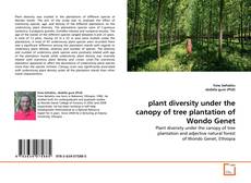 Buchcover von plant diversity under the canopy of tree plantation of Wondo Genet