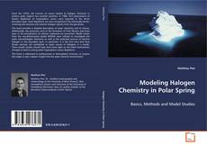 Copertina di Modeling Halogen Chemistry in Polar Spring