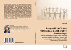 Pragmatics of Inter-Professional Collaborative Partnerships的封面