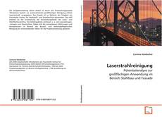 Laserstrahlreinigung kitap kapağı