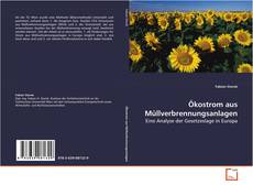 Portada del libro de Ökostrom aus Müllverbrennungsanlagen