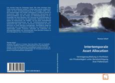 Bookcover of Intertemporale Asset Allocation