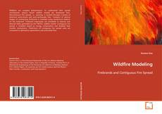 Wildfire Modeling kitap kapağı