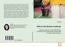 Portada del libro de Why Is the Bucket Leaking?