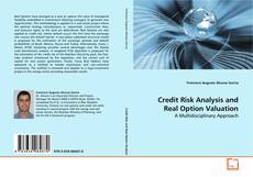 Copertina di Credit Risk Analysis and Real Option Valuation