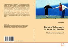 Copertina di Stories of Adolescents in Remarried Families