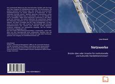 Netzwerke的封面