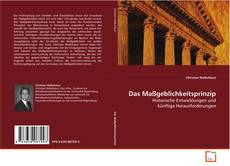 Copertina di Das Maßgeblichkeitsprinzip