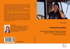 Copertina di Producing Safety