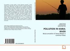 Capa do livro de POLLUTION IN KABUL RIVER 