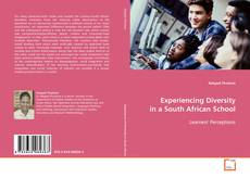 Capa do livro de Experiencing Diversity in a South African School 