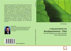 Copertina di e-Government im Baudepartement - Pilot