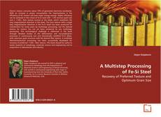 Copertina di A Multistep Processing of Fe-Si Steel
