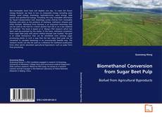Biomethanol Conversion from Sugar Beet Pulp的封面