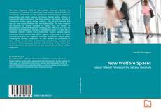 Copertina di New Welfare Spaces
