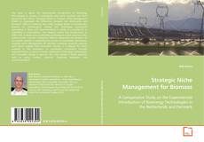 Copertina di Strategic Niche Management for Biomass