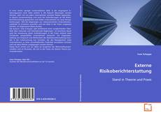 Externe Risikoberichterstattung的封面