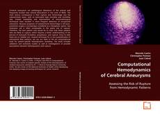 Bookcover of Computational Hemodynamics of Cerebral Aneurysms