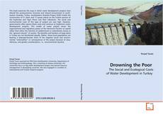 Couverture de Drowning the Poor