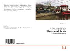 Schaumglas zur Abwasserreinigung的封面