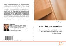 Copertina di Not Out of the Woods Yet