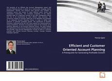 Copertina di Efficient and Customer Oriented Account Planning