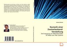 Buchcover von Numerik einer Zweiseitenband-Verstärkung