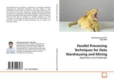 Parallel Processing Techniques for Data Warehousing and Mining kitap kapağı