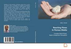 Copertina di Reacting Flows in Porous Media
