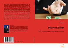 Measures of Risk的封面