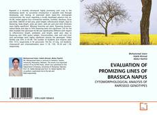 Couverture de EVALUATION OF PROMIZING LINES OF BRASSICA NAPUS