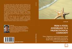 Copertina di FROM A FOSSIL ASSEMBLAGE TO A PALEOECOLOGICAL
COMMUNITY