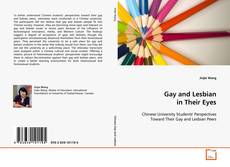 Borítókép a  Gay and Lesbian in Their Eyes - hoz