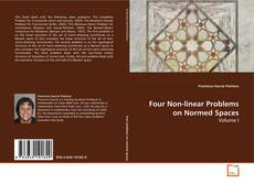 Copertina di Four Non-linear Problems on Normed Spaces