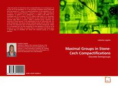 Maximal Groups in Stone-Cech Compactifications的封面