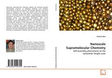 Capa do livro de Nanoscale Supramolecular Chemistry 
