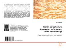 Couverture de Lignin Carbohydrate Complexes in Softwood and
Chemical Pulps