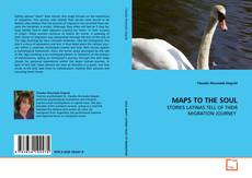 MAPS TO THE SOUL的封面