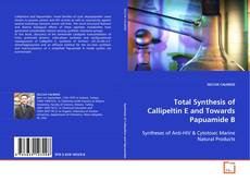 Couverture de Total Synthesis of Callipeltin E and Towards
Papuamide B