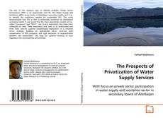Copertina di The Prospects of Privatization of Water Supply
Services