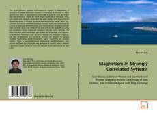 Magnetism in Strongly Correlated Systems kitap kapağı