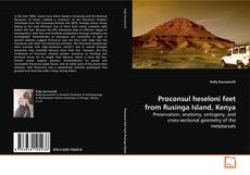 Proconsul heseloni feet from Rusinga Island, Kenya kitap kapağı