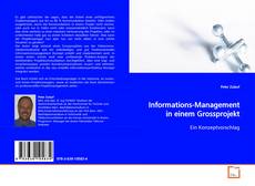 Couverture de Informations-Management in einem Grossprojekt