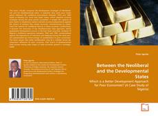 Buchcover von Between the Neoliberal and the Developmental States