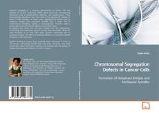 Copertina di Chromosomal Segregation Defects in Cancer Cells