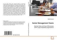 Copertina di Senior Management Teams